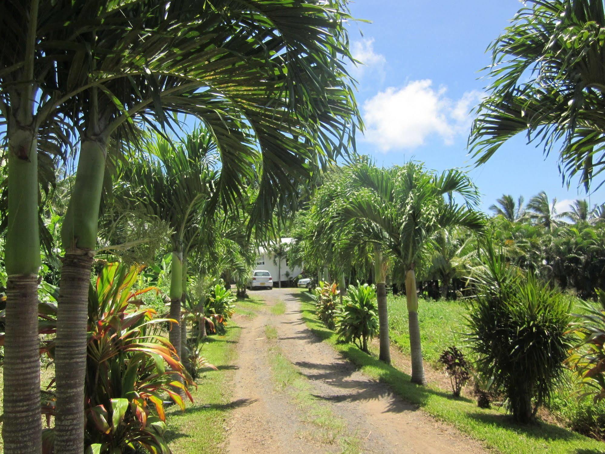 Muri Lagoon View Bungalows - Hillside Bungalow Rarotonga Exterior foto